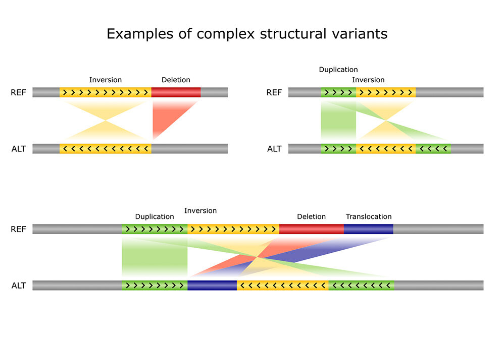 Algorithmic Bioinformatics - Leibniz Institute for Immunotherapy